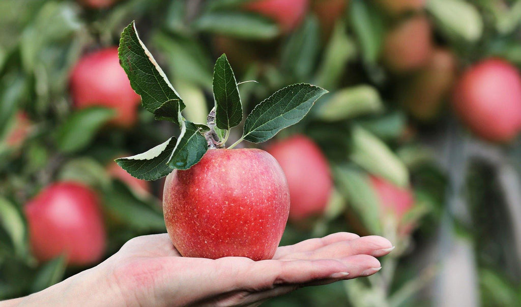 Ever Considered including Apples in your Diet?