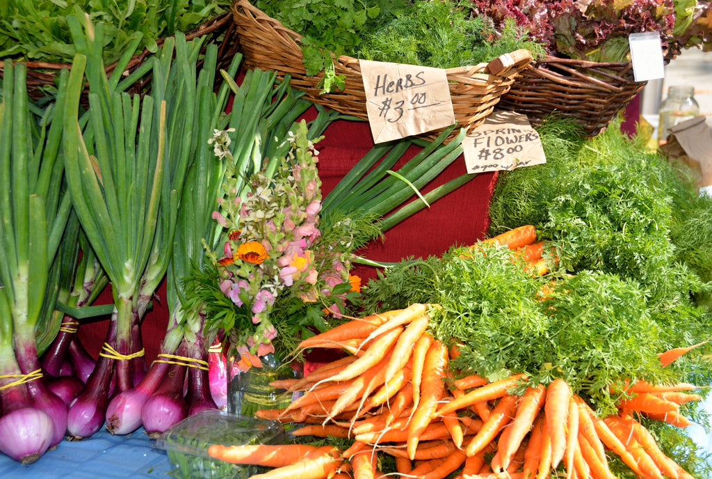 Want Success from Your Diet? It’s All in the Planning!