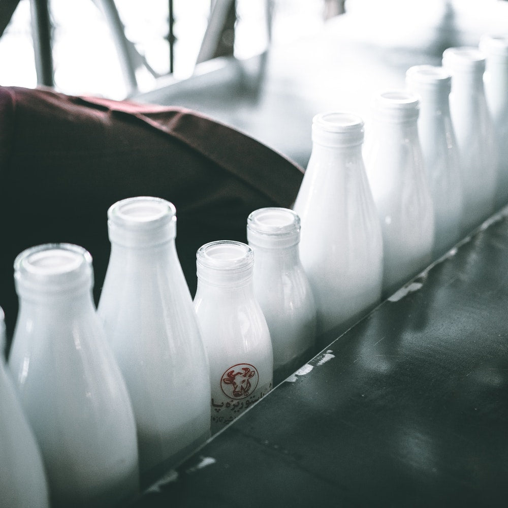 Dairy Products Are Helpful in the Fight Against Osteoporosis
